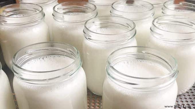 Make Your Own Yogurts At Home:Easy and Fast. 
