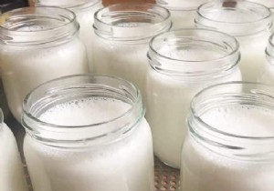 Make Your Own Yogurts At Home:Easy and Fast. 