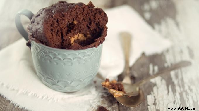 Economical and Quick to Cook, Mug Cakes! 