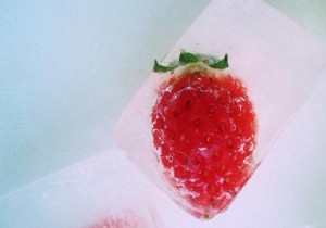 Elevate Your Cocktails: Easy Homemade Flavored Ice Cubes with Fruits and Herbs