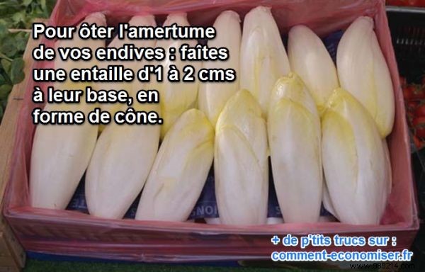 An Effective Tip against the Bitterness of Endives. 