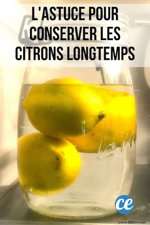 The Secret Trick To Keep Lemons Fresh MUCH Longer. 