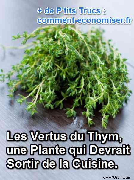 The virtues of thyme, a plant that should come out of the kitchen. 