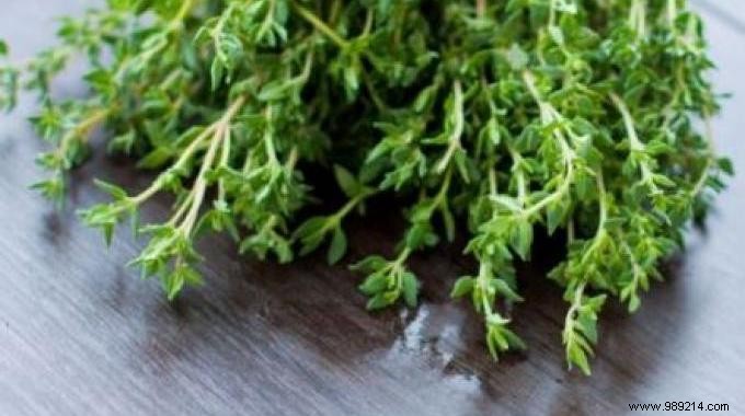 The virtues of thyme, a plant that should come out of the kitchen. 