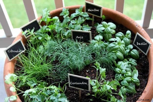 Herbs:18 Clever Ways to Grow Them Indoors. 