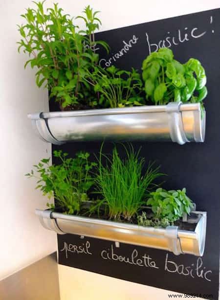 Herbs:18 Clever Ways to Grow Them Indoors. 