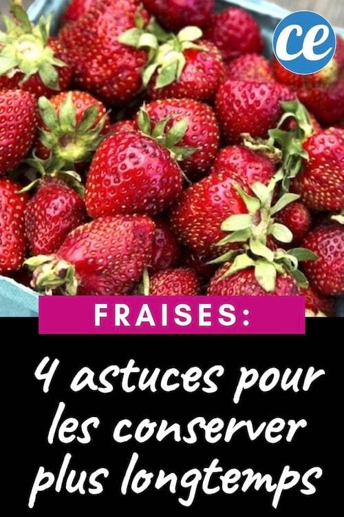 4 Simple Tricks To Keep Strawberries Twice As Long. 