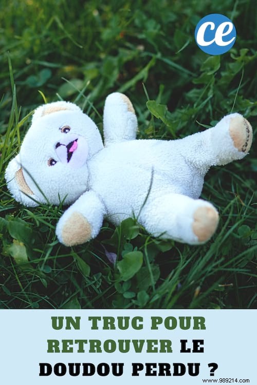 A Trick to Find the Lost Doudou? 