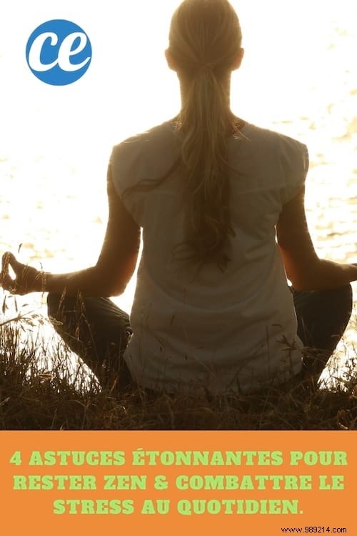 4 Amazing Tips to Stay Zen &Fight Daily Stress. 