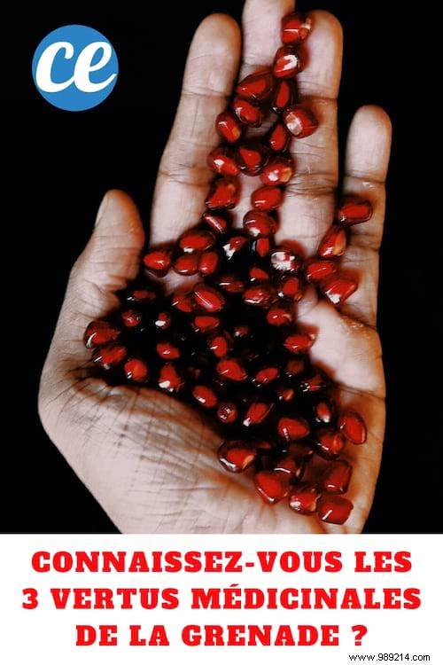Do you know the 3 medicinal virtues of Pomegranate? 