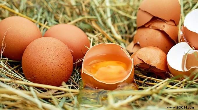 Are You Lacking Calcium? Eat Eggshells! 