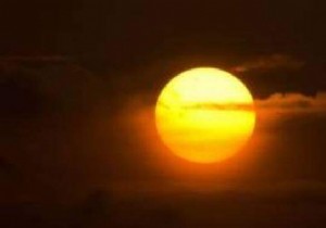 Daily Vitamin D for Babies:How to Get It Naturally? 