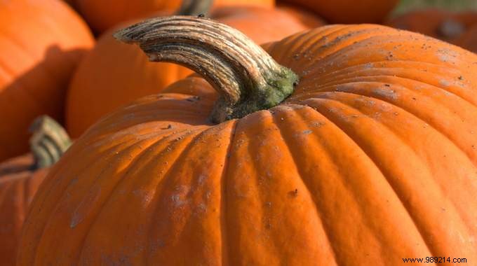 The Pumpkin, an Exceptional Food for Health. 
