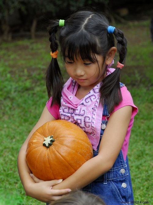 The Pumpkin, an Exceptional Food for Health. 