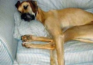 10 Proven Fatigue Tricks. 