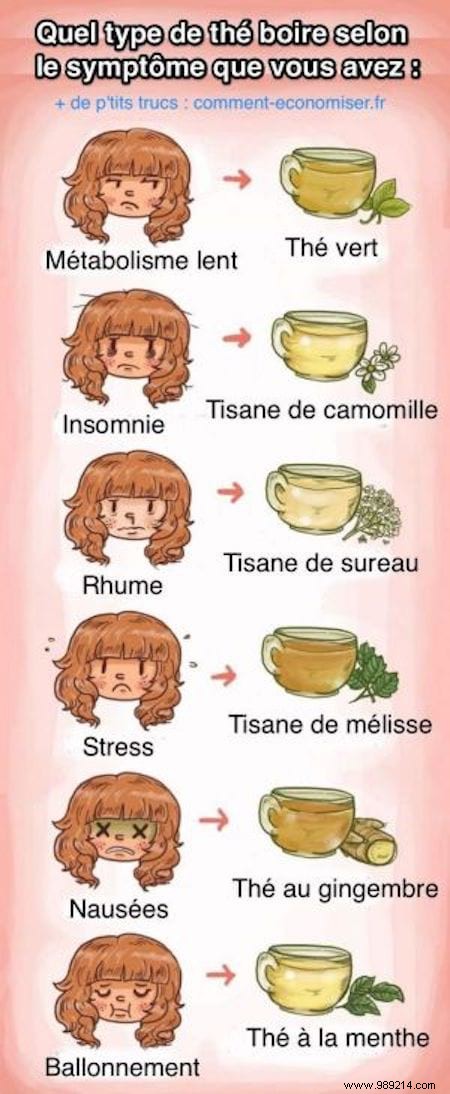 Which Type of Tea to Drink According to the Symptom You Have. 