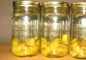 Effective Lemon Infusion: A Natural Remedy for Urinary Tract Infections