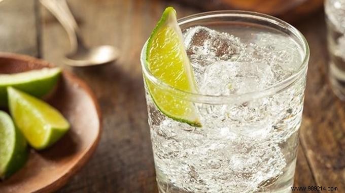 10 Reasons Why Drinking Gin In Moderation Is Good For Your Health. 