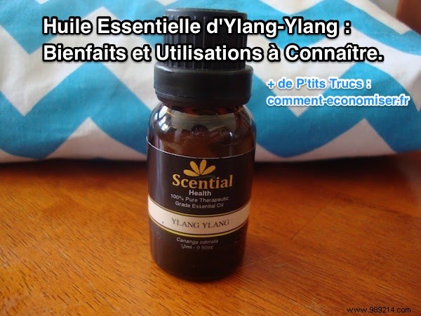Essential Oil of Ylang-Ylang:Benefits and Uses to Know. 