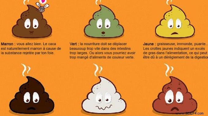 What Your Poop Says About Your Health. 