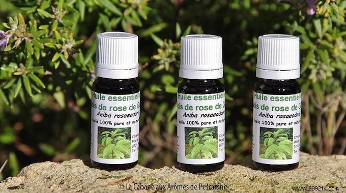 Essential Oil of Rosewood:Its Benefits and Uses to Know. 