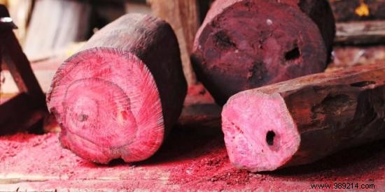 Essential Oil of Rosewood:Its Benefits and Uses to Know. 