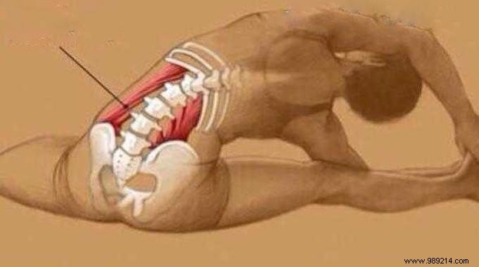 Lower Back Pain? Here s How To Stop The Pain When You Sit All Day. 