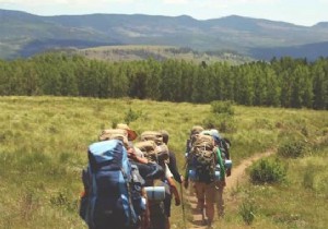 The 5 Scientifically Proven Health Benefits of Hiking. 