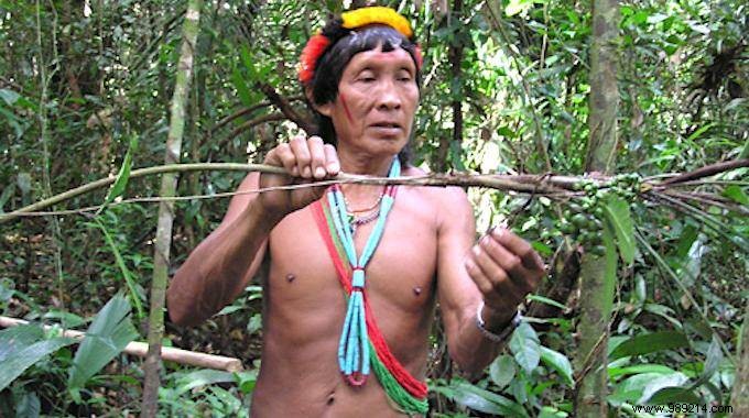 An Amazonian Tribe Creates an Encyclopedia of Traditional Medicine 