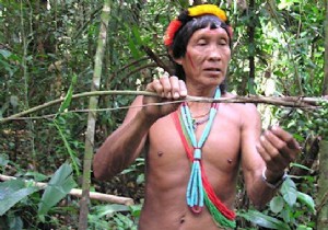 An Amazonian Tribe Creates an Encyclopedia of Traditional Medicine 