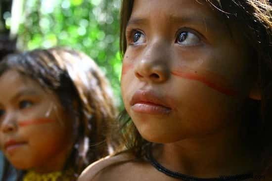 An Amazonian Tribe Creates an Encyclopedia of Traditional Medicine 