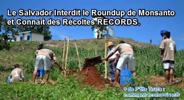 El Salvador Bans Monsanto s Roundup and Experiences RECORD Harvests. 