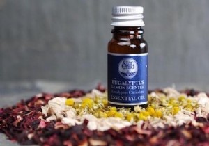 Lemon Eucalyptus Essential Oil: A Proven Natural Mosquito Repellent