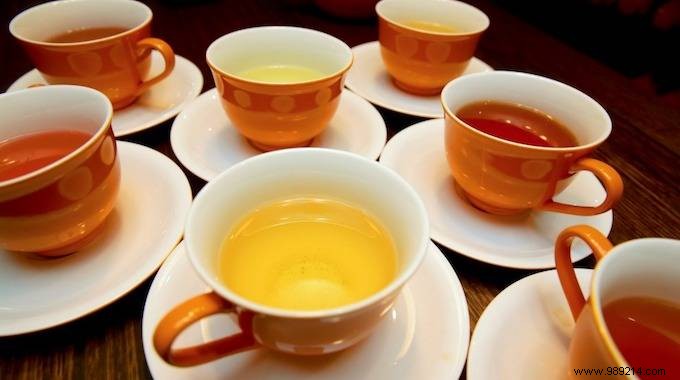 What Type of Herbal Tea to Drink According to the Symptom You Have? 