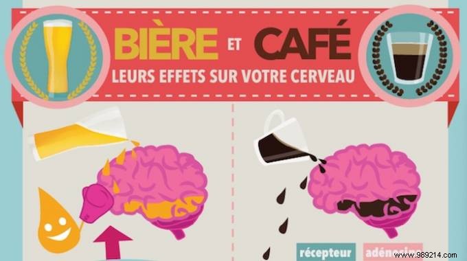 What Are The Effects Of Beer And Coffee On Your Brain? 