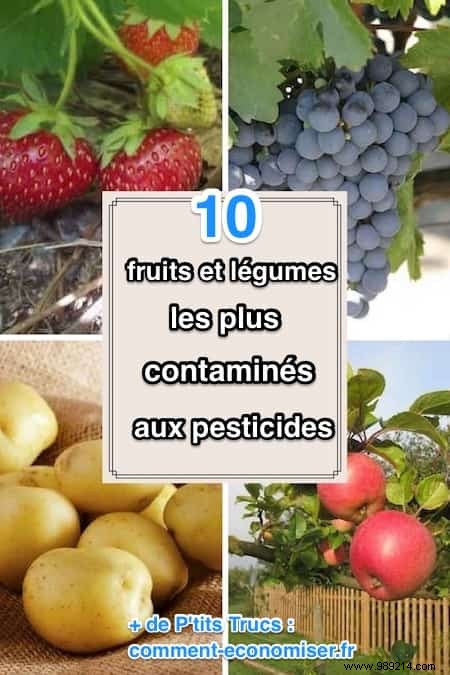 The 10 Most Pesticide Contaminated Fruits and Vegetables. 