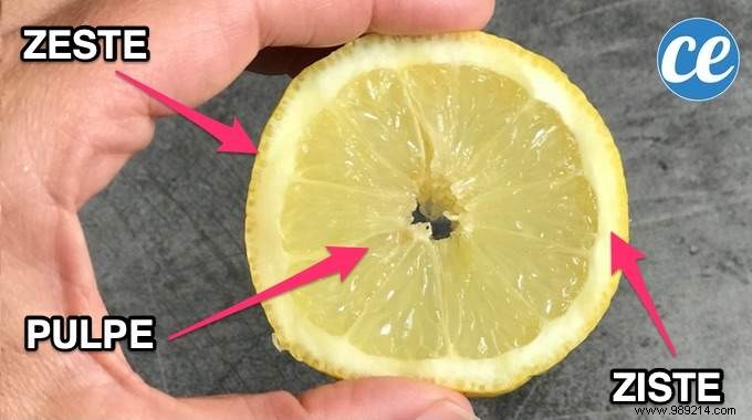 In Le Citron Everything is Good! All The Uses You Should Know About. 