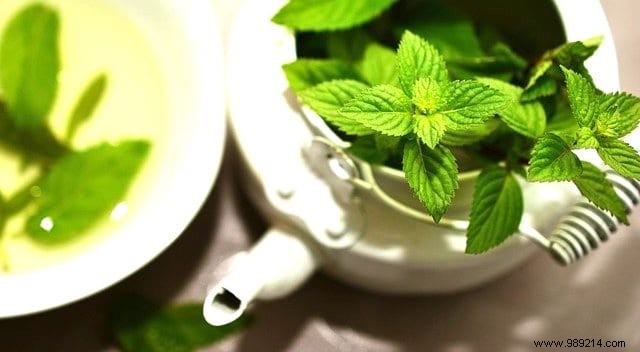 The 15 Best Teas &Infusions For Health. 