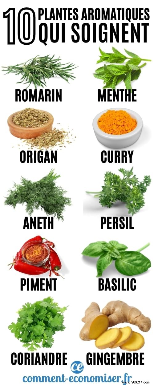 10 Herbs That Heal (And Which To Use According To Your Symptoms). 