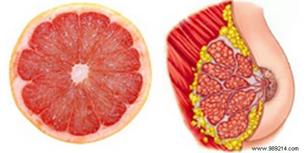 8 Foods That Heal the Organs They Look Like. 