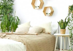 5 Proven Bedroom Plants to Reduce Anxiety and Improve Sleep Tonight