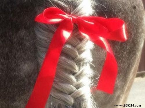 15 Tips To Make Life Easier For Anyone Who Rides A Horse. 