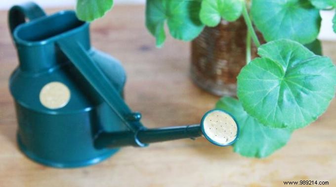 The genius tip for watering your plants when you go on vacation. 