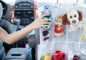 11 Great Tips to Keep Your Car Clean and Organized. 