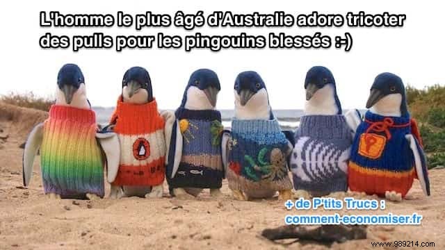 Australia s Oldest Man Knits Sweaters For Injured Penguins. 