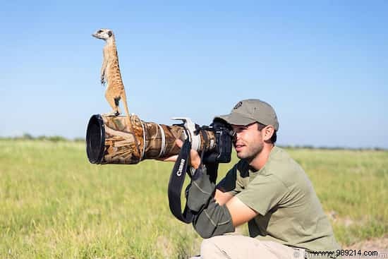 20 Photos That Prove Being a Wildlife Photographer Is the Best Job in the World. 