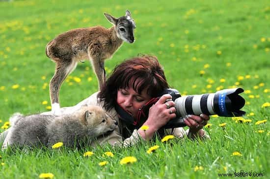 20 Photos That Prove Being a Wildlife Photographer Is the Best Job in the World. 