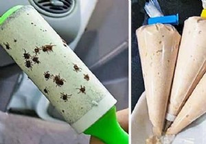 14 Essential Camping Hacks from a Seasoned Camper: #11 is a Must-Know