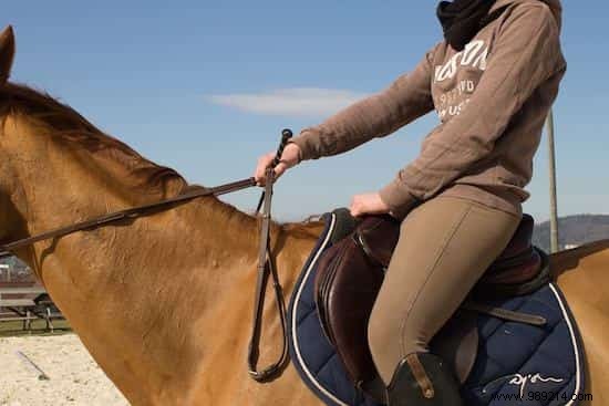Survival Tips:How to Control a Running Horse? 