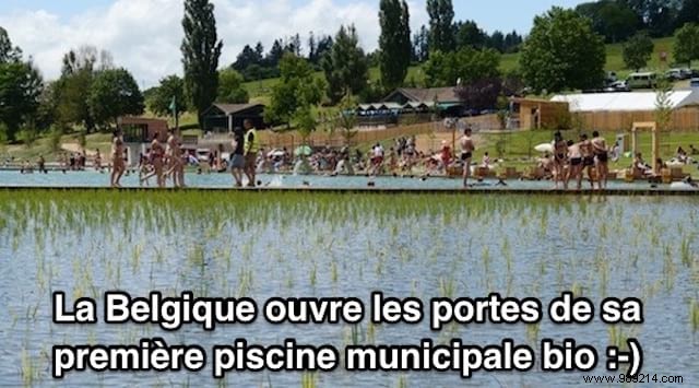 Belgium Opens the Doors of Its FIRST Organic Municipal Swimming Pool. 
